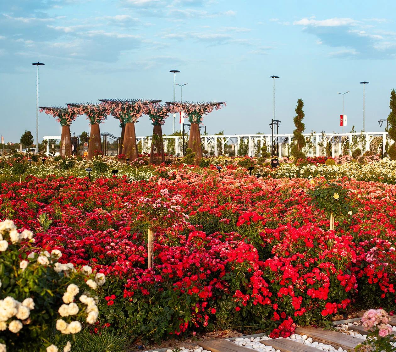 Karatay Mevlana Gül Parkı